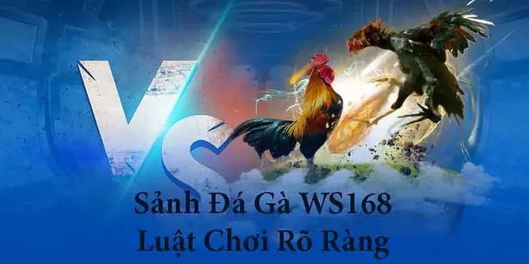 Bỏ Túi Cách Chơi Đá Gà WS168 Tại 789P Chắc Thắng Trong Tay 1 Bỏ Túi Cách Chơi Đá Gà WS168 Tại 789P Chắc Thắng Trong Tay