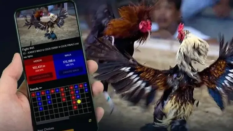 Đá Gà 789P Trực Tiếp Cực Nét Hé Lộ Bí Mật Thắng Lớn