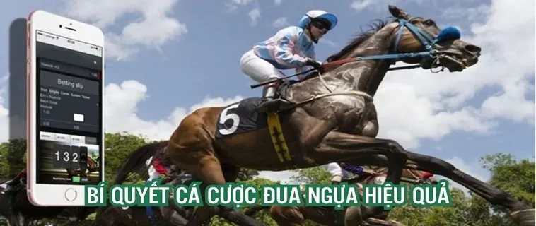 Trở Thành Cao Thủ Cá Cược Đua Ngựa 789P Sau Một Lần Đọc 2 Trở Thành Cao Thủ Cá Cược Đua Ngựa 789P Sau Một Lần Đọc
